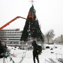 Uostamiesčio eglutė virs sūpynėmis