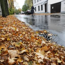 Prapliupus lietui, krintantys lapai pridaro bėdų: technika gatvėse sukinėsis dažniau