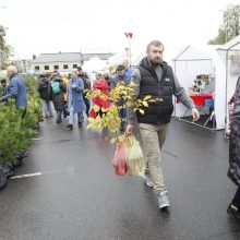 Kretingos rudens derliaus šventėje – moliūgo „skerstuvės“ ir sūrių alėja 