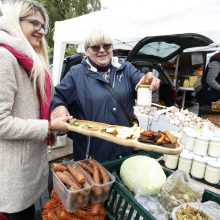 Kretingos rudens derliaus šventėje – moliūgo „skerstuvės“ ir sūrių alėja 