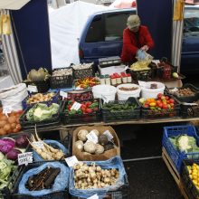 Kretingos rudens derliaus šventėje – moliūgo „skerstuvės“ ir sūrių alėja 