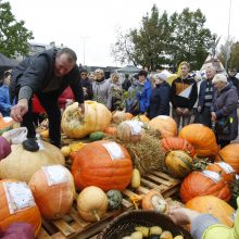 Kretingos rudens derliaus šventėje – moliūgo „skerstuvės“ ir sūrių alėja 