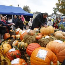 Kretingos rudens derliaus šventėje – moliūgo „skerstuvės“ ir sūrių alėja 