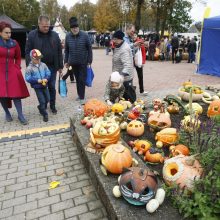 Kretingos rudens derliaus šventėje – moliūgo „skerstuvės“ ir sūrių alėja 