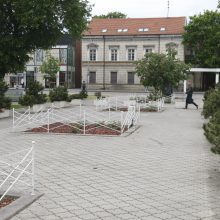 Lietuvininkų aikštėje – sunykę rožynai