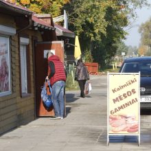 Gyventojai pasipiktinę: sodams gresia likvidacija?