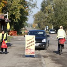 Gyventojai pasipiktinę: sodams gresia likvidacija?