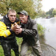 Laukžemių ežero žuvis perkėlė į Trinyčių tvenkinį