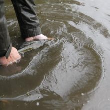 Laukžemių ežero žuvis perkėlė į Trinyčių tvenkinį