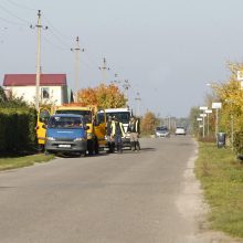 Gyventojai pasipiktinę: sodams gresia likvidacija?