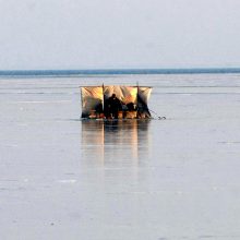 Žūklės malonumai – ant Kuršių marių ledo