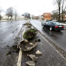 Po girtų vairuotojų „ralio“ liko suniokoti gėlių vazonai ir kelio ženklai