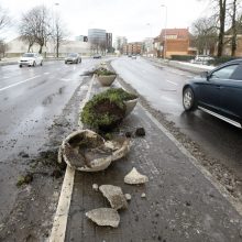 Po girtų vairuotojų „ralio“ liko suniokoti gėlių vazonai ir kelio ženklai