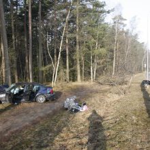 Mįslinga avarija prie Melnragės viaduko pareigūnams sukėlė daug klausimų