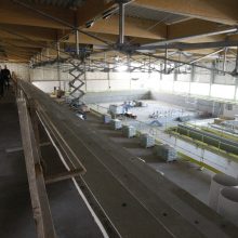 Klaipėdos baseino statybos – finišo tiesiojoje