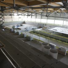 Klaipėdos baseino statybos – finišo tiesiojoje