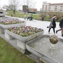 Uostamiestyje pradėjo šniokšti fontanai