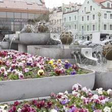 Uostamiestyje pradėjo šniokšti fontanai