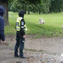 Prevencinė akcija Klaipėdoje: šunų savininkus skatino būti atsakingus