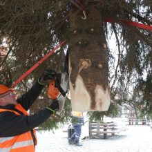 Kalėdų šventės uostamiestyje – slenkstis į dar vieną sukaktį