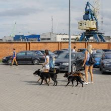 Tarptautinei benamių gyvūnų dienai – simbolis žygis ir piknikas prie jūros