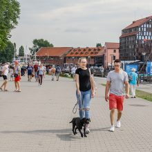 Tarptautinei benamių gyvūnų dienai – simbolis žygis ir piknikas prie jūros