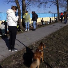 Kauno gatvės menininkai ir aleksotiškiai reiškia palaikymą: didžiulė tvora virto Ukrainos vėliava