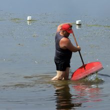 Karštasis savaitgalis Kaune: ar spėja suktis specialiosios tarnybos?