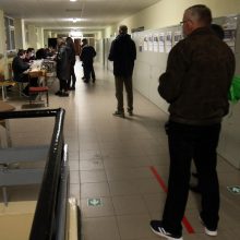 Išskirtiniai rinkimai į Seimą – ne tik dėl kaukių