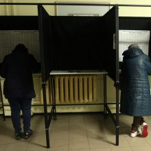 Išskirtiniai rinkimai į Seimą – ne tik dėl kaukių