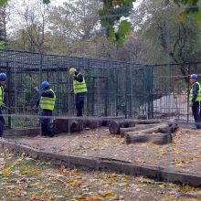 Zoologijos sodo rekonstrukcija: išgriauti voljerai, statybų pradžia ir atidarymo nuotaikos