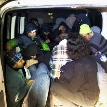 Teismas leido suimti Sakartvelo pilietį, neteisėtai gabenusį migrantus 