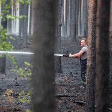 Ugniagesiai: Lietuvos miškai dažniausiai pleška ne dėl gamtos sąlygų