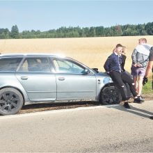 Pasieniečiai po persekiojimo Šalčininkų rajone sustabdė neblaivų vairuotoją