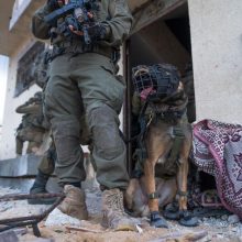 Izraelio kariuomenė: prie šuns kūno pritvirtinta kamera įrašė per klaidą nušautų įkaitų balsus