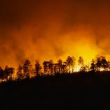 ES klimato agentūra: rugsėjis buvo karščiausias per visą istoriją