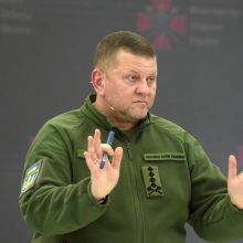 Kalbos apie Ukrainos kariuomenės vado atleidimą atskleidžia nesutarimus šalies vadovybėje