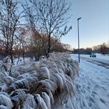 Orai Lietuvoje: šaltukas dar laikysis