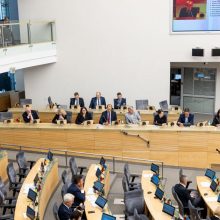 Registruotas projektas dėl pirmalaikių Seimo rinkimų: jį pasirašė šešiolika parlamentarų