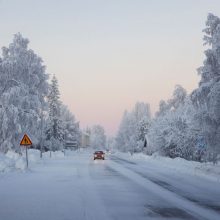 Švedijoje registruota šalčiausia sausio naktis per 25 metus