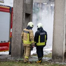 Liūdna statistika: pernai gaisruose Lietuvoje žuvo 100 žmonių – daugiausiai per penkerius metus
