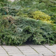 Prasidėjo pasirengimas Kalėdoms: per anksti ar pačiu laiku?