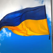 Generolas: Ukrainos ginkluotosiose pajėgose trūksta personalo