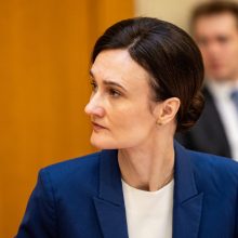 V. Čmilytė-Nielsen: Valstybės gynybos fondo paketas Seime bus pateiktas kitą savaitę