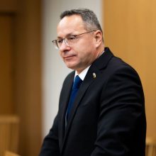 Ambasadorių klausimas vėl grįžta į Seimo komitetą: tikisi sutarti dėl atstovybės