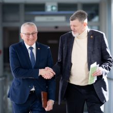 Seimas pradėjo priešpaskutinę šios kadencijos sesiją, daugiausia dėmesio žada saugumui