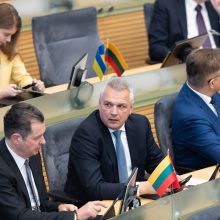 Seimas pradėjo priešpaskutinę šios kadencijos sesiją, daugiausia dėmesio žada saugumui
