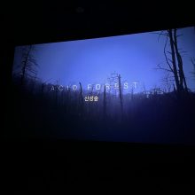 R. Barzdžiukaitės filmas „Rūgštus miškas“ suošė Pietų Korėjoje