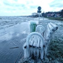 Neringą papuošė pati gamta: atsėlinęs šaltis sukūrė ledo skulptūras