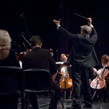 KVMT orkestras ir Tomas Ambrozaitis
